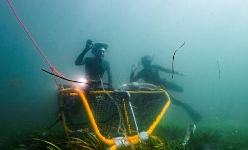Fastener Supplier Helps Build Seagrass Harvester